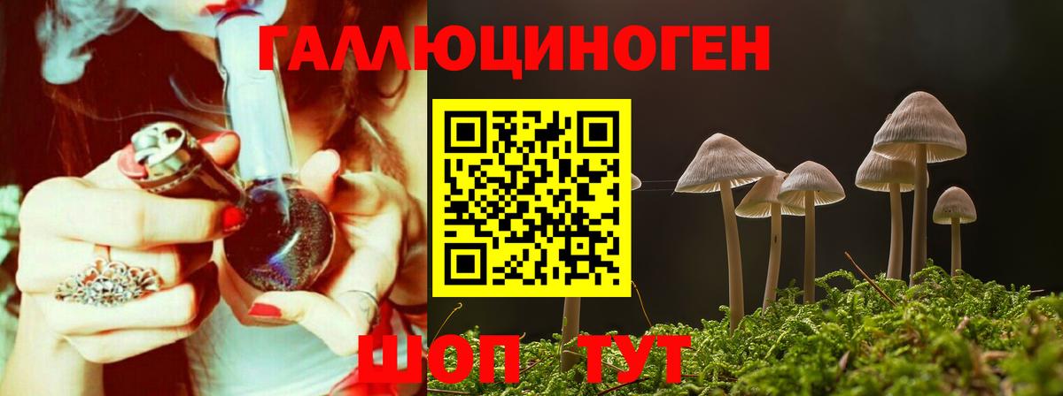 Псилоцибиновые грибы мухоморы  Псилоцибиновые грибы Psilocybe  Вход с VPN  Астрахань 